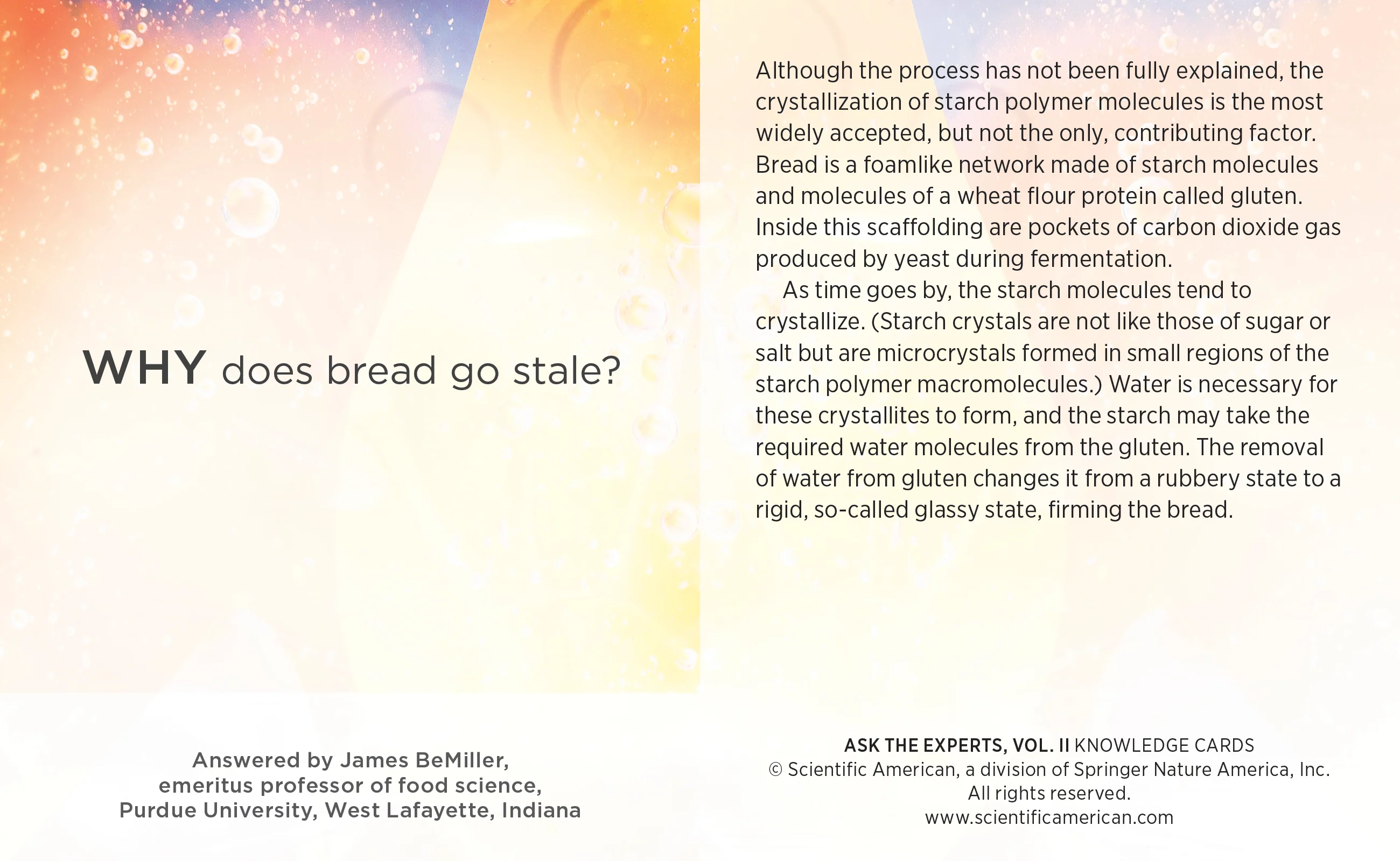 Ask the Experts: Mind-Blowing Answers to Science Questions, Vol. 2 Knowledge Cards - Image 5