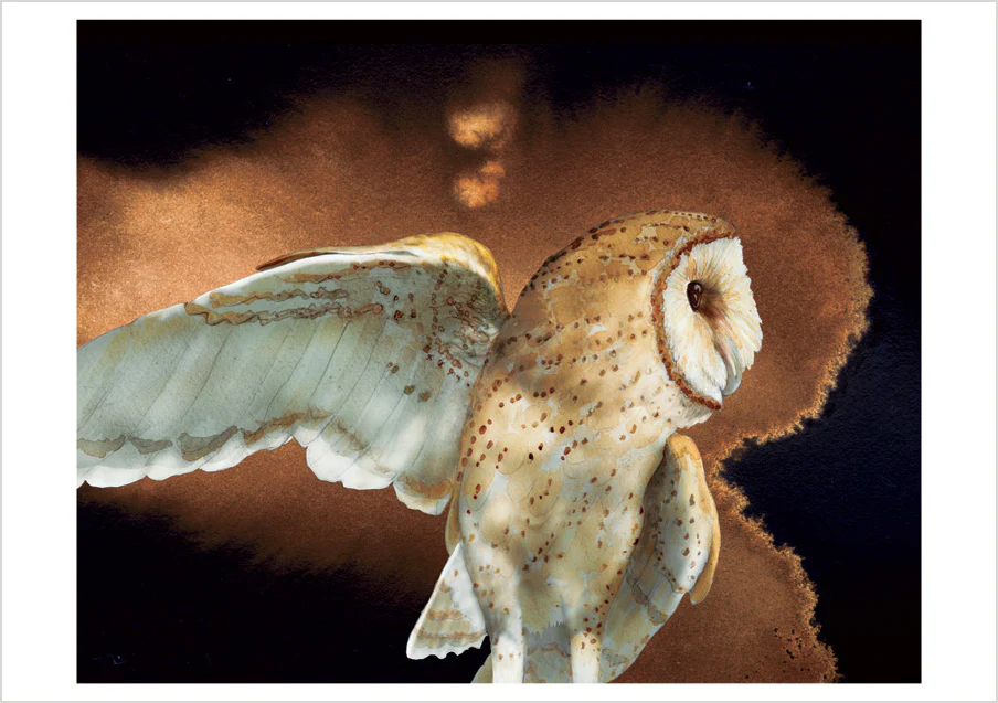 Barn Owls by Jeannine Chappell Boxed Notecard Assortment - Image 2