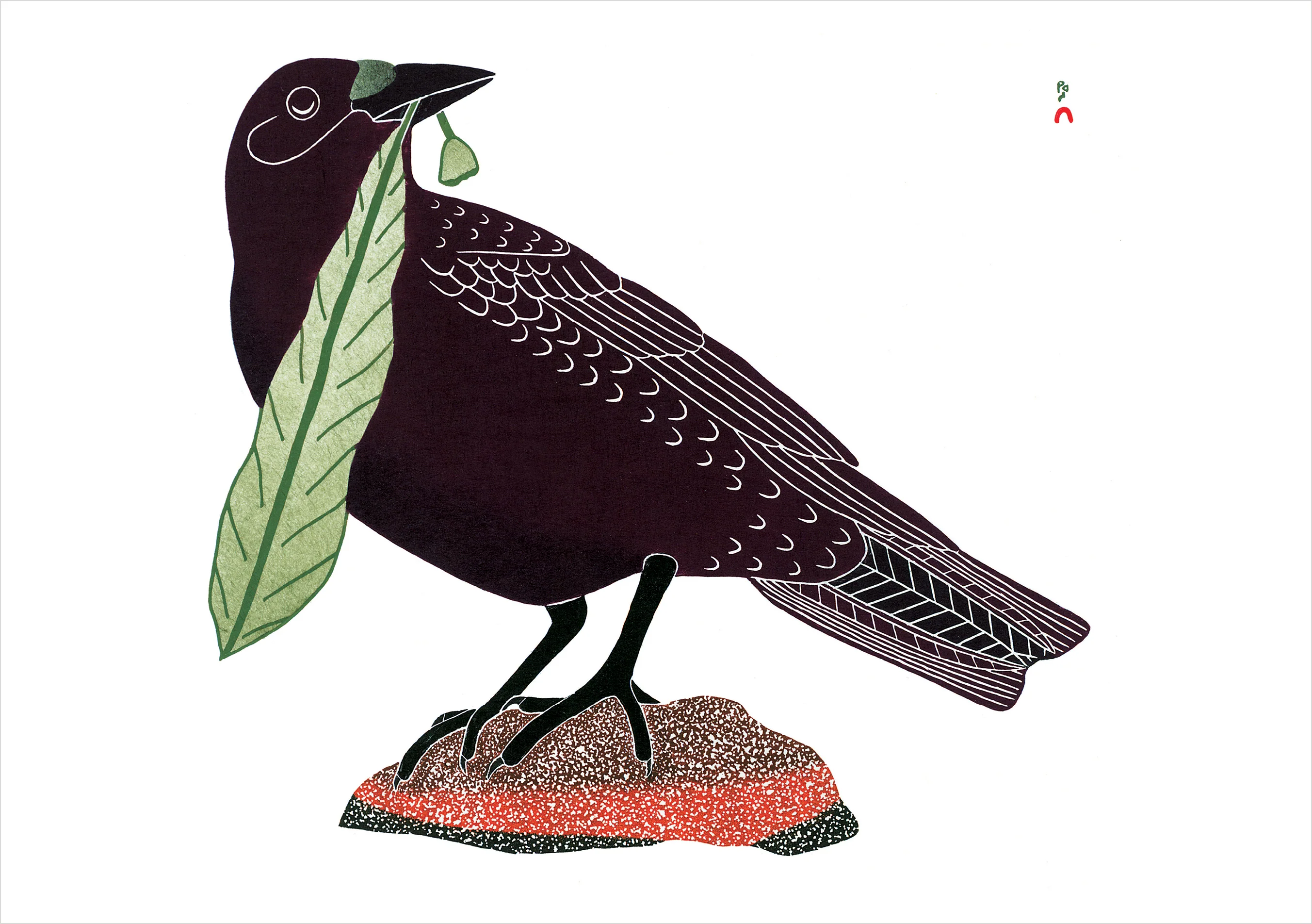 Birds of Cape Dorset Boxed Notecard Assortment - Image 4