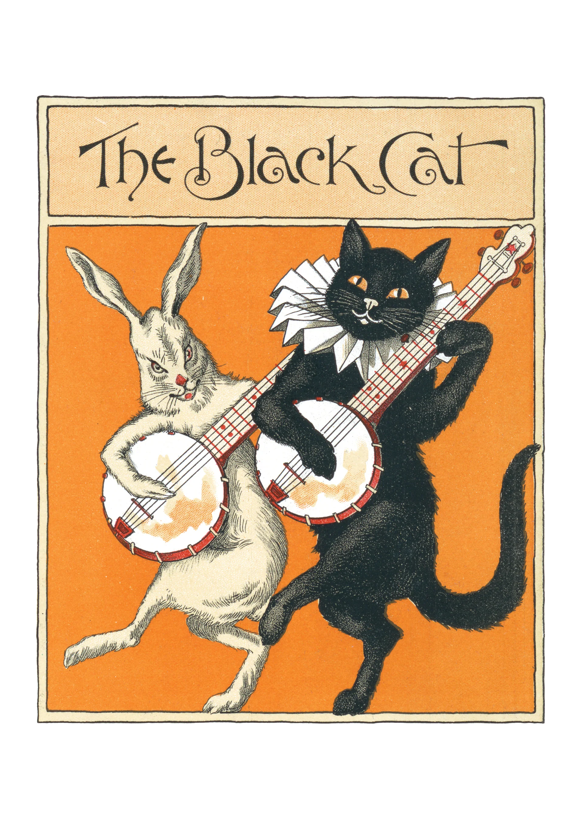 Black Cats Boxed Notecard Assortment - Image 5