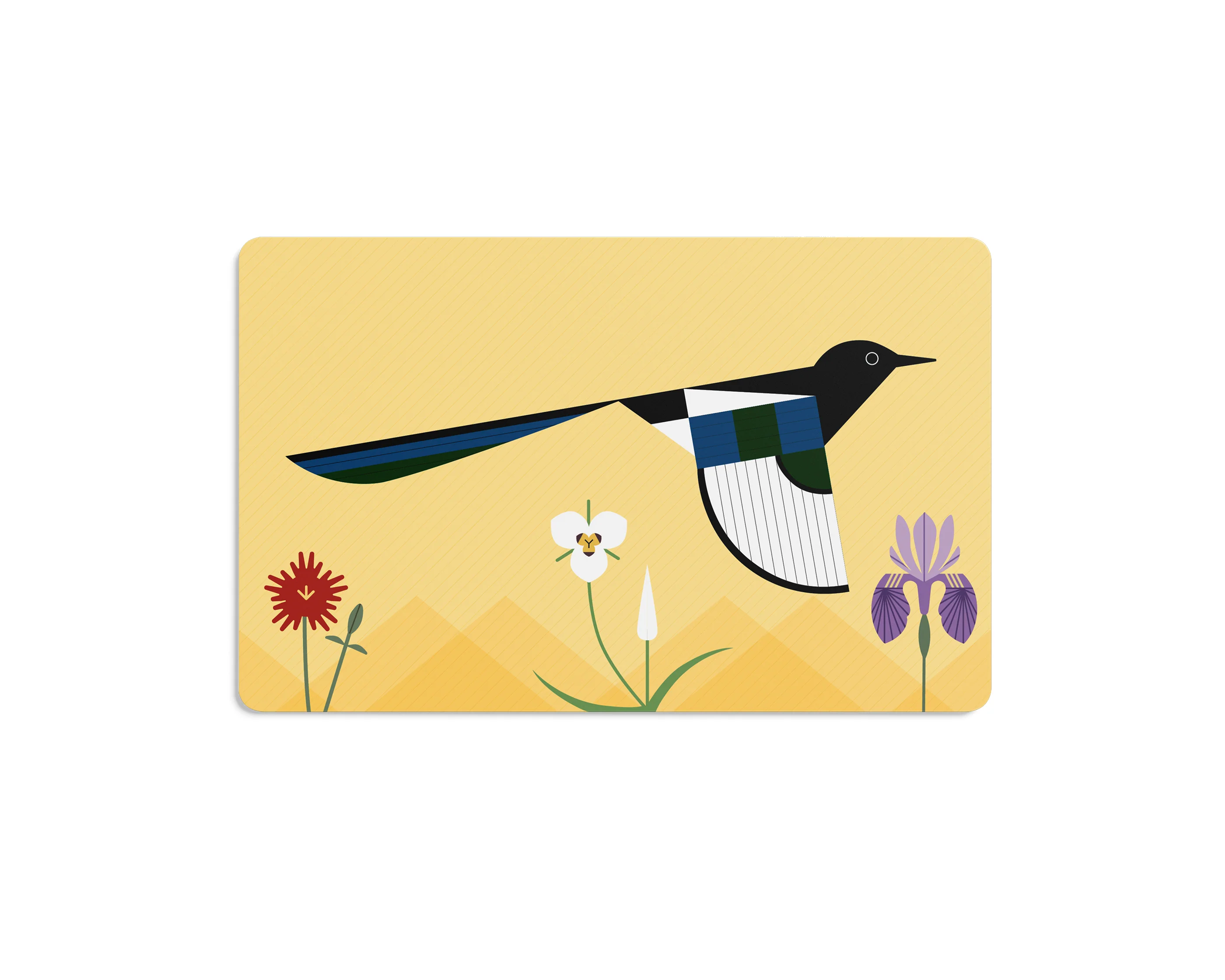 Charley Harper’s I Am Wild Flash Cards - Image 4