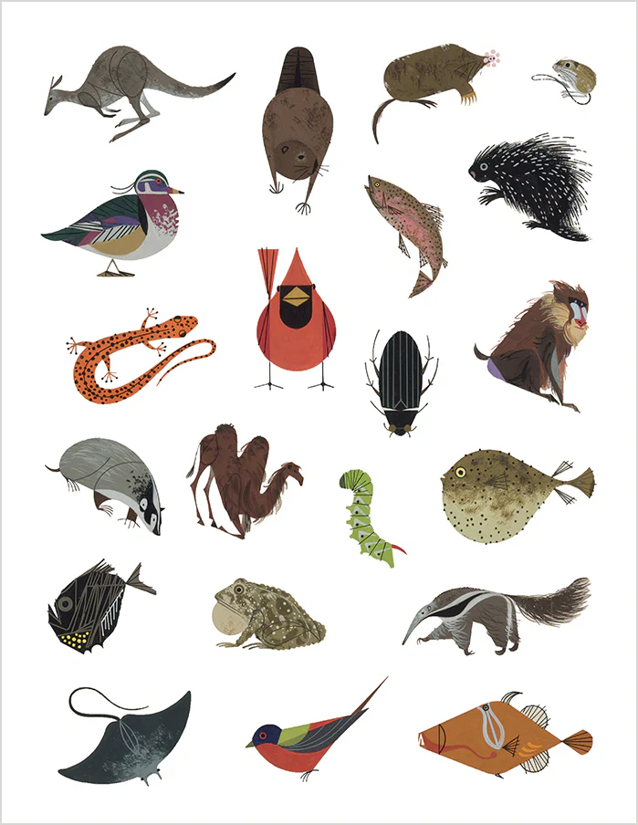 Charley Harper: Tree of Life Sticker Book - Image 3