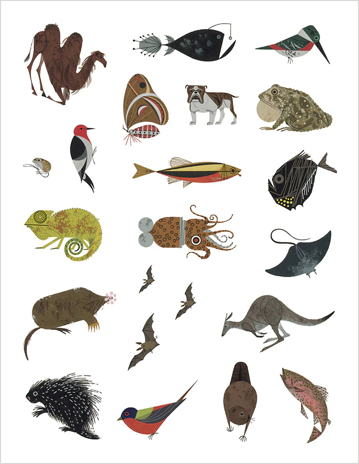 Charley Harper: Tree of Life Sticker Book - Image 4