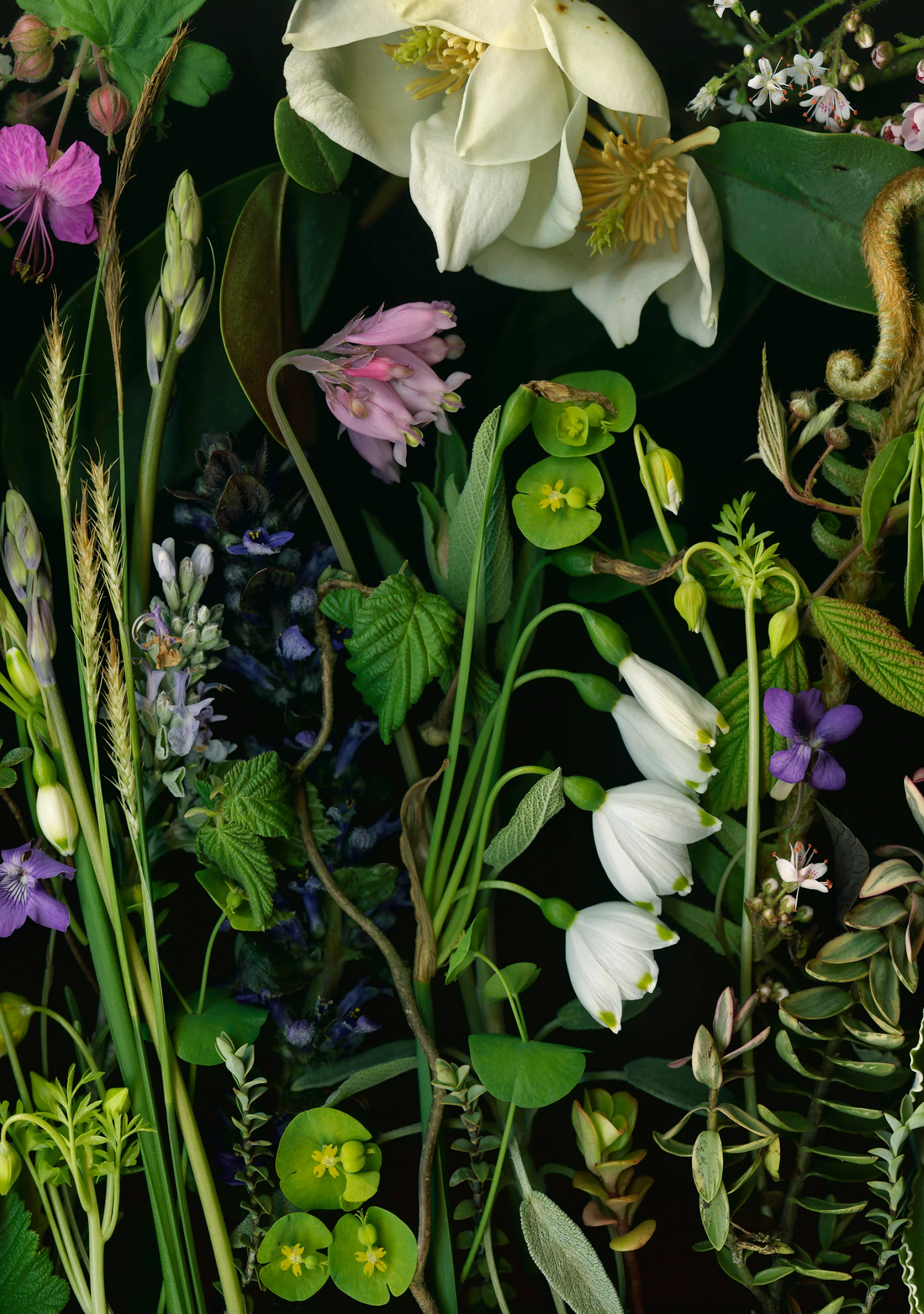 Deb Stoner: Flora Boxed Notecard Assortment - Image 4