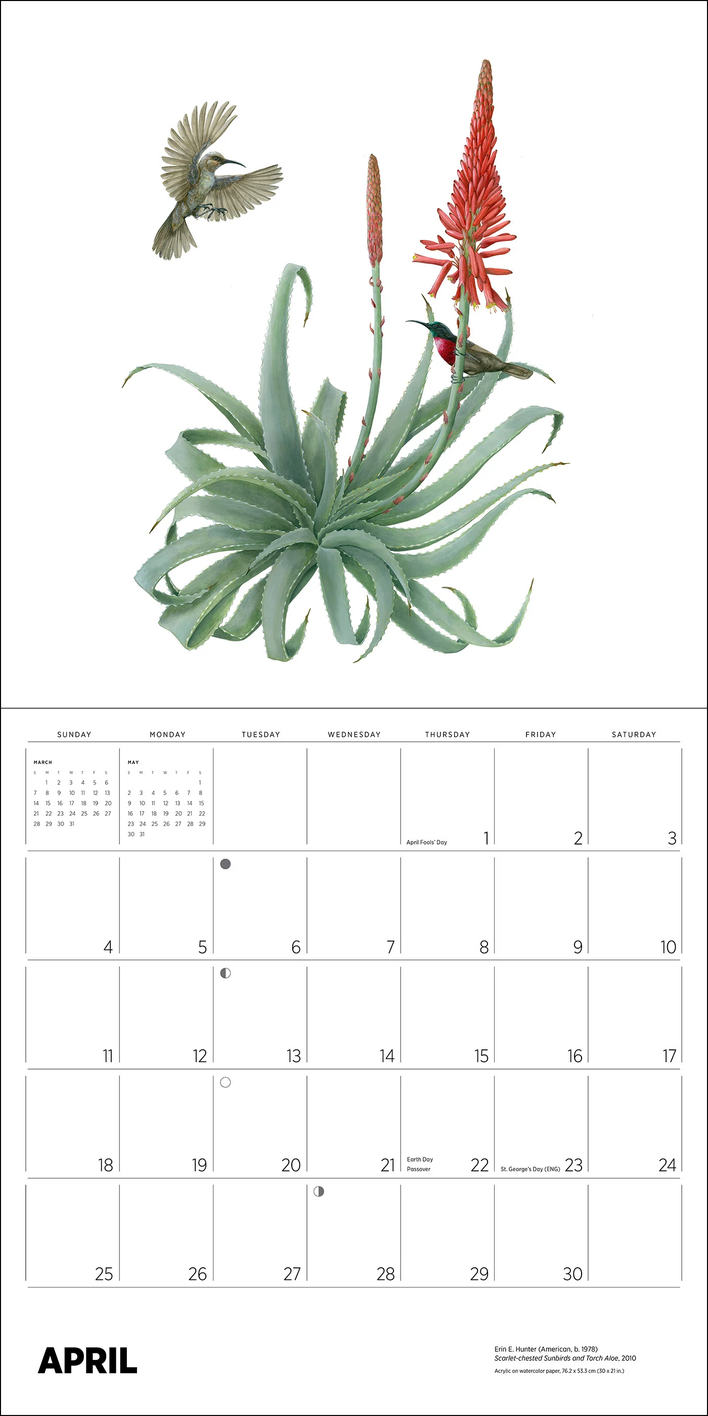 Erin E. Hunter: Pollinators 2027 Wall Calendar - Image 6