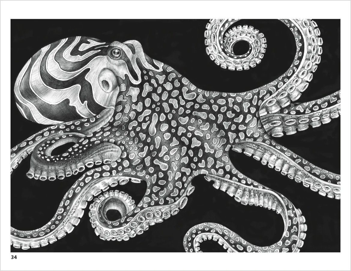 Intricate Ink: Animals in Detail Coloring Book - Image 3