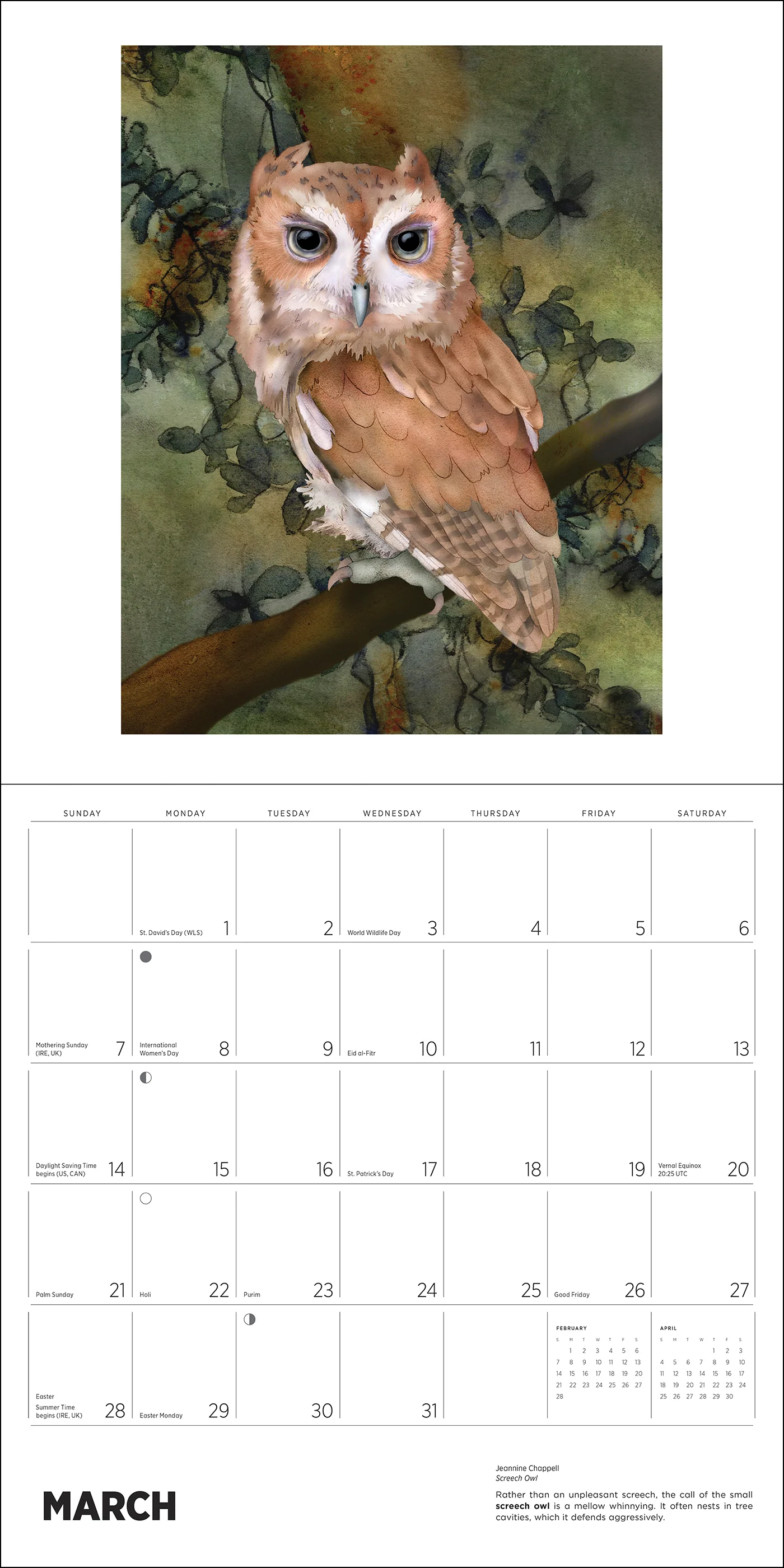 Owls: Jeannine Chappell 2027 Wall Calendar - Image 2