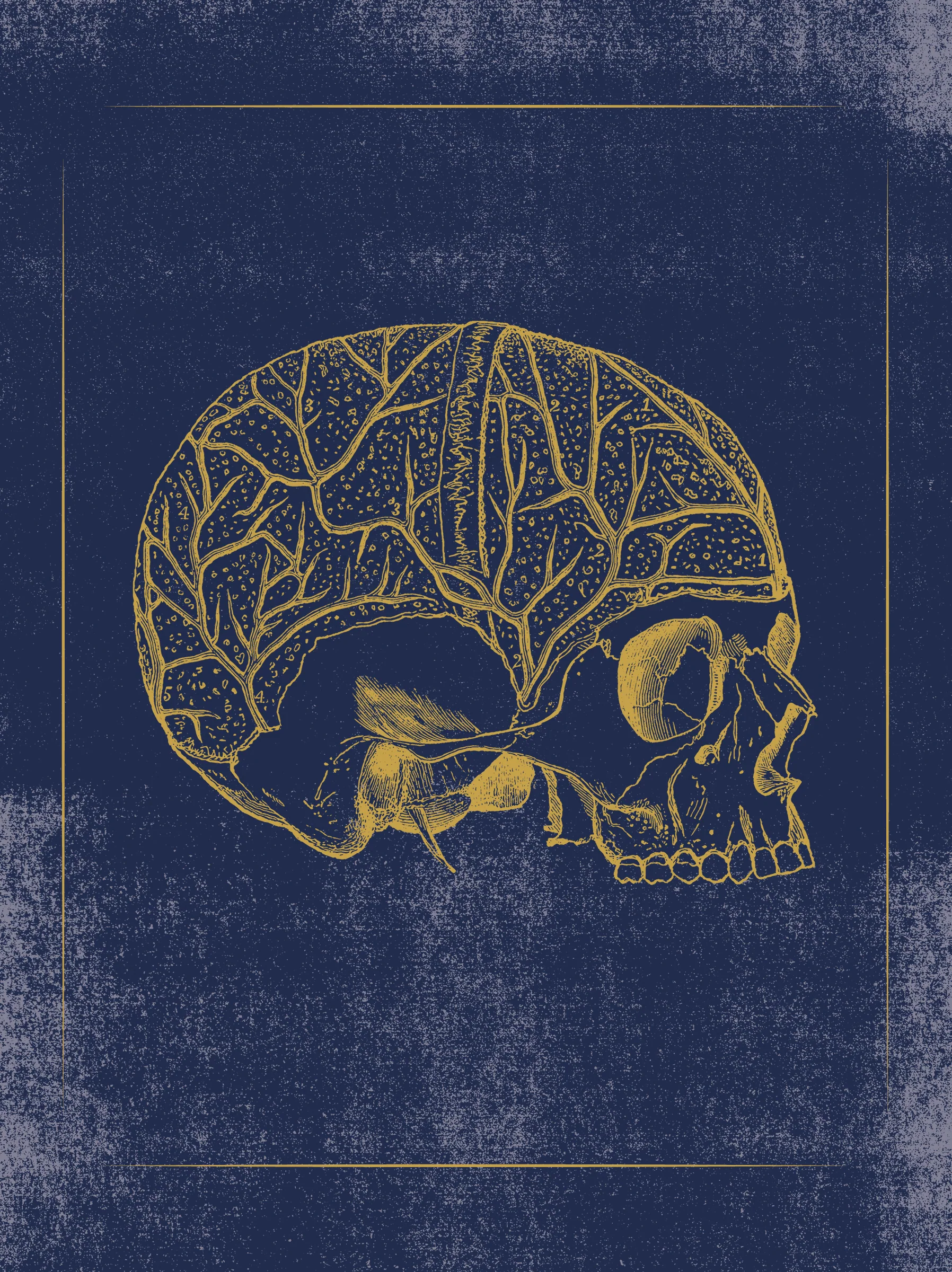 Vintage Anatomy Slipcase Boxed Notecards - Image 3