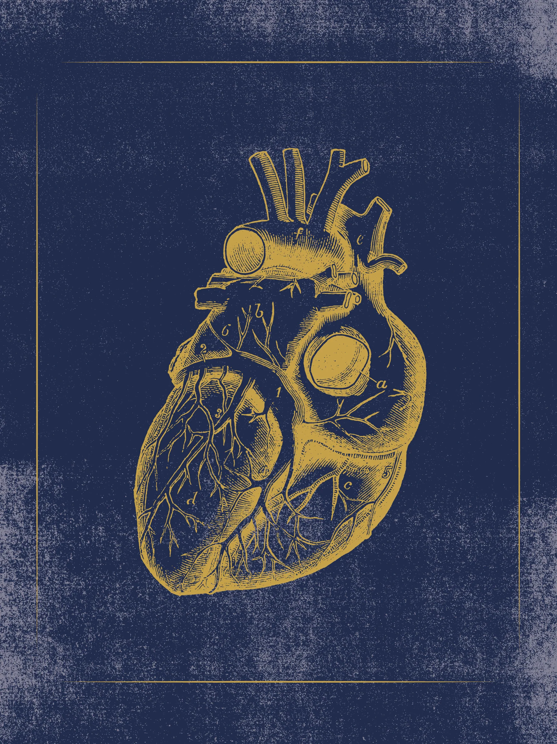 Vintage Anatomy Slipcase Boxed Notecards - Image 4