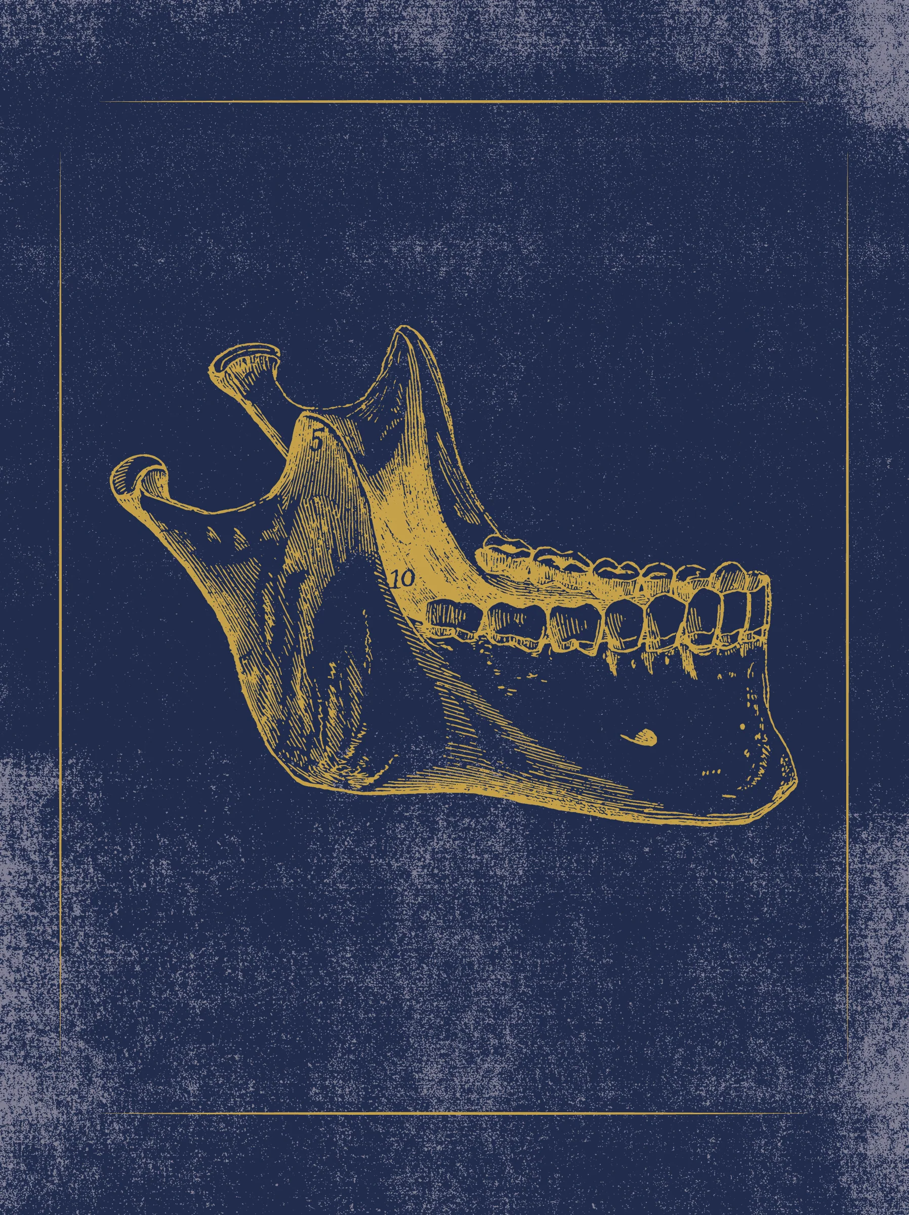 Vintage Anatomy Slipcase Boxed Notecards - Image 7
