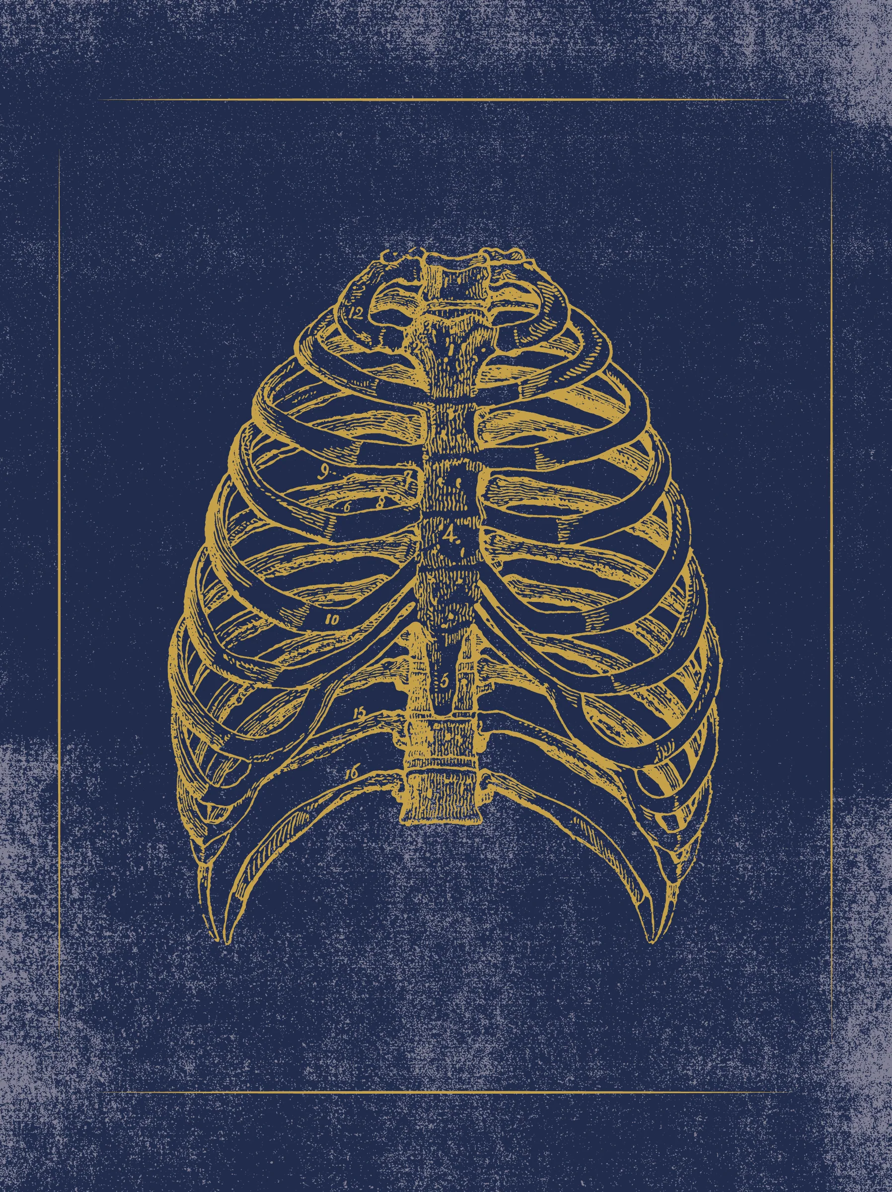Vintage Anatomy Slipcase Boxed Notecards - Image 8