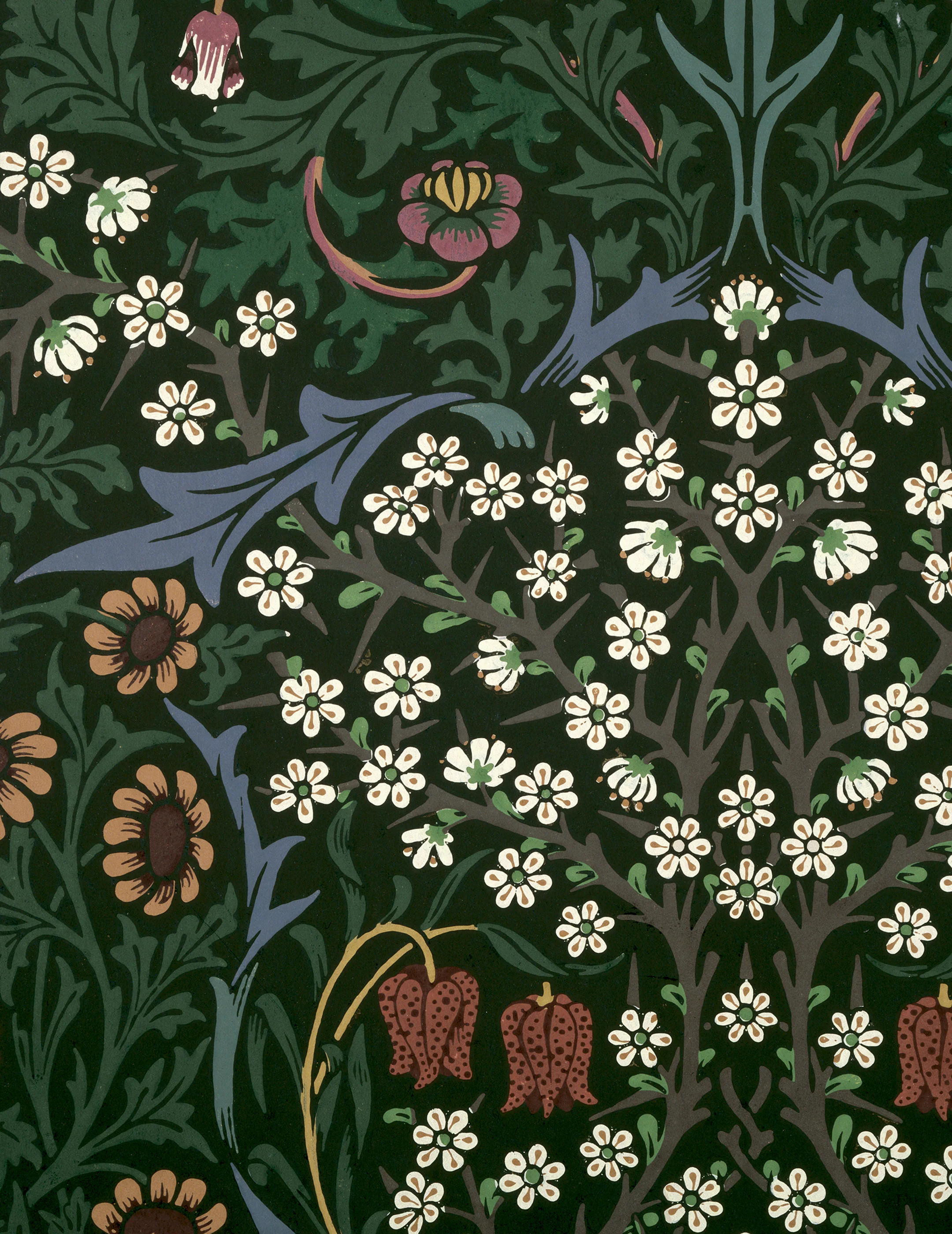 William Morris Keepsake Boxed Notecards - Image 4